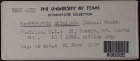 Image Associated With the Occurence